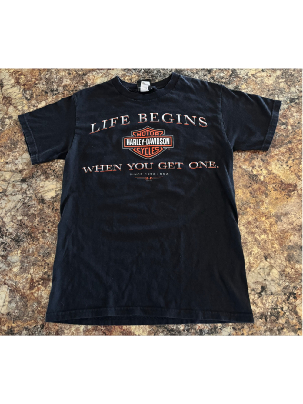 Harley-Davidson Pig Trail Life Begins Graphic T-Shirt Black Small